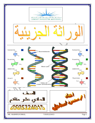ملخص درس الوراثة الجزيئية الصف الحادي عشر متقدم مادة الاحياء Movie Posters