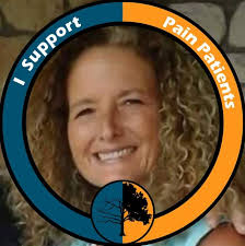 Growing verbena for butterfly gardens