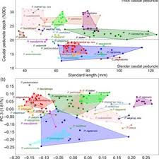 Image result for Hartliella