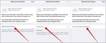 How to recover deleted text messages on iphone 11. How To Recover Deleted Whatsapp Audio Messages From An Iphone