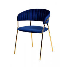 Modrest Brandy Modern Blue Fabric Dining Chair Set Of 2 In 2020 Dining Chairs Fabric Dining Chairs Dining Chair Set