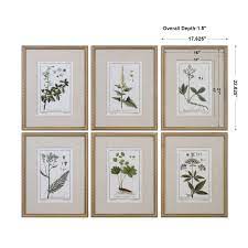 Get it as soon as fri, sep 18. Green Floral Botanical Study Framed Prints S 6 Uttermost