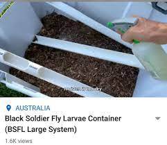Video About Cool Bsf Bin Black Soldier Fly Making A Compost Bin Yard Project
