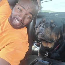 Butler Kennels Rottweilers