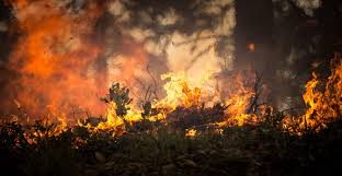 Ville de québec, quebec, qc. Incendies Forestiers Majeurs En 2020 Gazette De La Mauricie
