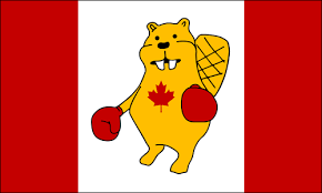 The hudson bay company first used it on their coat of arms in the 1670s, and it's been used. Canadian Boxing Beaver Flag Sports Flags Other Flags Of Canada
