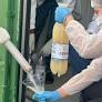 Innovative Sustainable Agriculture Projects Advance in Brazil with Bioinsumos and PANC-Based Foods