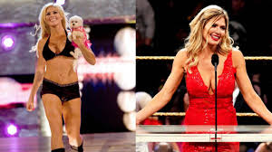 Image result for Torrie Wilson
