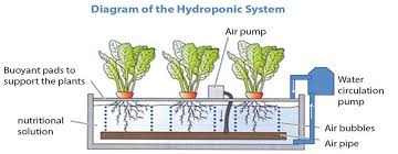 Hydro Aqua And Aeroponics Terrascope 2024