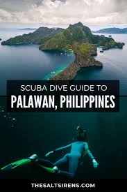 The Ultimate Scuba Dive Guide To Palawan Philippines Travel Asia In 2020 Philippines Travel Asia Travel Philippines Travel Guide