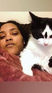 Lost cat in North Little Rock Arkansas?