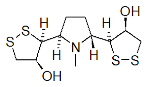 Image result for Gerrardina