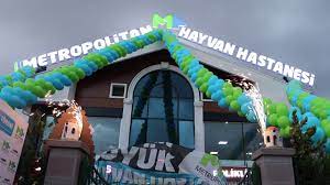 anasayfa metropolitan hayvan hastanesi ankara veteriner hekim