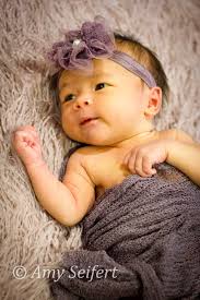 Amy Seifert Photography