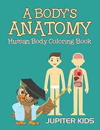 Below are some of the best children's books about the human body. A Body S Anatomy Human Body Coloring Book Kids 9781683051015 Free Shipping 9781683051015 Ebay