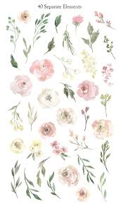 Here is a list of 120+ of the best beautiful and elegant, free for both personal and commercial use, floral. Pin By Deb Munari Hoerner On Flower Rose Plants Drawings Flower Drawing Floral Watercolor Flower Art