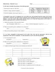 We provide you this proper as with ease as simple pretension to acquire those all. Bikini Bottom Geneticsproblems Name Period Date Spongebob Genetics T Trimpe Http Sciencespot Net 1 For Each Genotype Below Indicate Whether It Is Course Hero