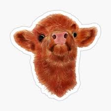 We did not find results for: Baby Highland Cow Gifts Merchandise Redbubble