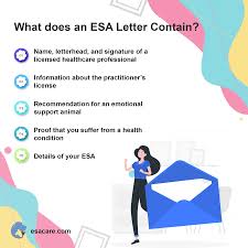Keep in mind that getesa is the only web service that is hippa compliant. 9 Reasons Why You Need An Emotional Support Dog Today Esa Care