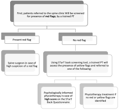Image result for Start Back Screening Tool