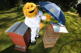 Browse the user profile and get inspired. Pin On Bee Keeping Clothing And Suits