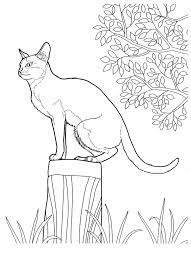 Cat 12 Cats Coloring Pages For Teens And Adults Cat Coloring Page Animal Coloring Pages Cat Colors