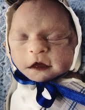 Obituary information for Jax William Haney