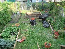 Steps To Start An Organic Garden In Your Backyard Organic Gardening Vegetable Garden For Beginners Garden Yard Ideas