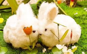 A List Of 199 Cute Bunny Names For Your Fuzzball Pet Ponder