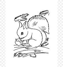 There are tons of great resources for free printable color pages online. Flying Squirrel Coloring Book Red Squirrel Clip Art Png 678x878px Squirrel Animal Area Art Artwork Download