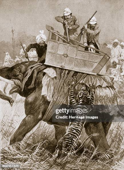 The Prince of Wales on a tiger hunt during his visit to India, 21... News Photo - Getty Images