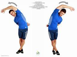 Maybe you would like to learn more about one of these? Intercostal Muscles