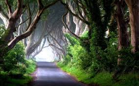 Choose from hundreds of free nature wallpapers. Full Hd Nature Wallpapers Nature Hd Wallpapers For Windows 10 48236 Hd Wallpaper Backgrounds Download