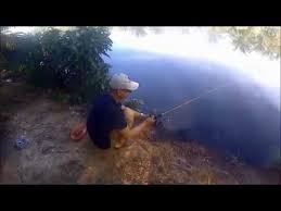 As memiliki beberapa tempat memancing terbaik di dunia. Mancing Di Muara Perkebunan Kelapa Sawit Hamparan Perak Sumatera Utara Indonesia Youtube