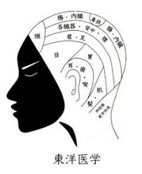 頭には全身のツボが集まっています 痛みや疲れの原因が分かっていればその部位にあたるツボを解し逆に頭を解した際に痛みなどを感じる場合はそのツボにあたる部位に不調があると考えられます ヘッドスパ 東洋医学 ツボ 肩こり 首こり 妊活 aga 薄毛 抜け毛 頭痛