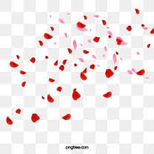 Petalas De Flor Flor De Ameixa Vermelho Galhos Imagem Png E Psd Para Download Gratuito Red Rose Petals Rose Petals Image Red Roses Background