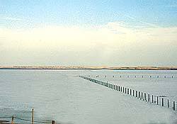 Check spelling or type a new query. Great Salt Plains Lake Fishing Guides Cabins Rv Parks Fishing Reports Lodging