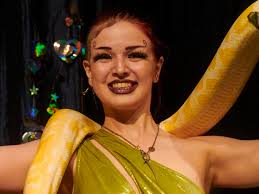 Fundraiser for Alyssa Riganti by Bruises T : Rally for Obsidian Absurd: Aid  Her Recovery and Art