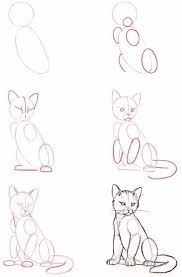 Chat Realiste Plus Dessin Chat Comment Dessiner Un Chat Croquis Animaux