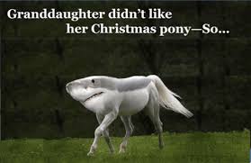 Pin By Christopher Matson On Original Animated Gifs Pony Animation Animals