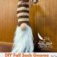 Adult DIY: Fall Sock Gnomes event image