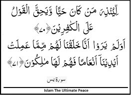 Wiridkan surat yasiin ayat 48 dibawah ini sebanyak 777 kali setiap malam setelah selesai sholat hajat atau tahajud. Surah Yasin Verses 70 71 Verses Teachings Peace
