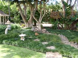 Start by thinking about what you need from your garden and how you can plan it to fit those elements in. Love The Mass Growing Mondo Grass And Dry Creek Bed Mondo Grass Ground Cover Plants Small Backyard Landscaping