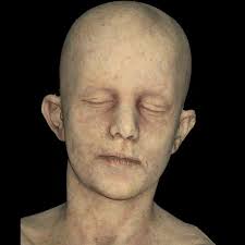 Troy Head's Instagram, Twitter & Facebook