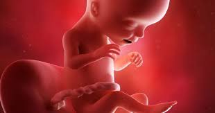 Votre 2e mois de grossesse se poursuit et votre embryon se développe chaque jour un peu plus. 4eme Mois De Grossesse Bebe Bouge Doctissimo