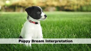 And no, it doesn't necessarily mean you're pregnant. Puppy Dream Interpretation Guide To Dreams