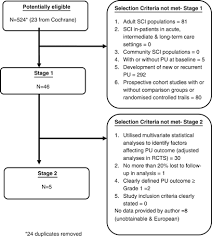 Which artery is most prone to occlusion in the lower extremities? A Systematic Review Of Risk Factors For The Development And Recurrence Of Pressure Ulcers In People With Spinal Cord Injuries Spinal Cord