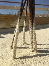 Image result for Monosis