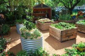 Something Elevated Like This For Smaller Plants Like Salad Greens Radishes And The Like Veggie Garden Farm Gardens Veg Garden