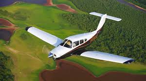 Image result for Piper